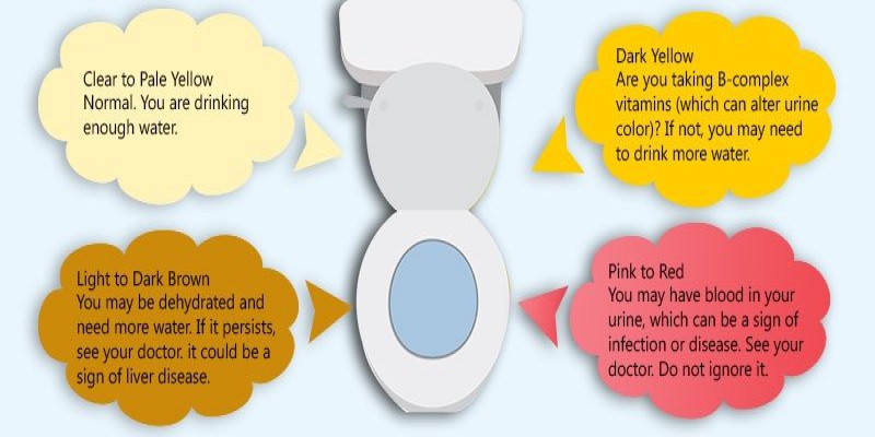 Urine Color Reveals Your Health