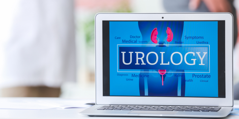 WHAT ROLE DOES UROLOGISTS PLAY IN OUR LIVES?