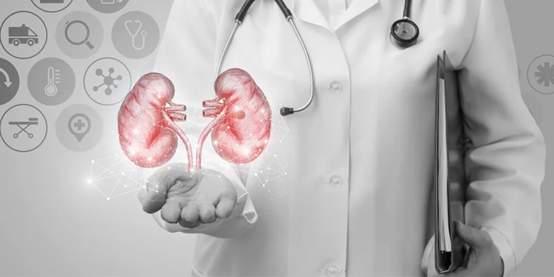 Decoding the Differences: Urologist vs. Nephrologist – Which Specialist Do You Need?